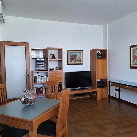 King 35 Boloňa